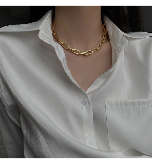 Niche collarbone sweater chain chunky chain necklace